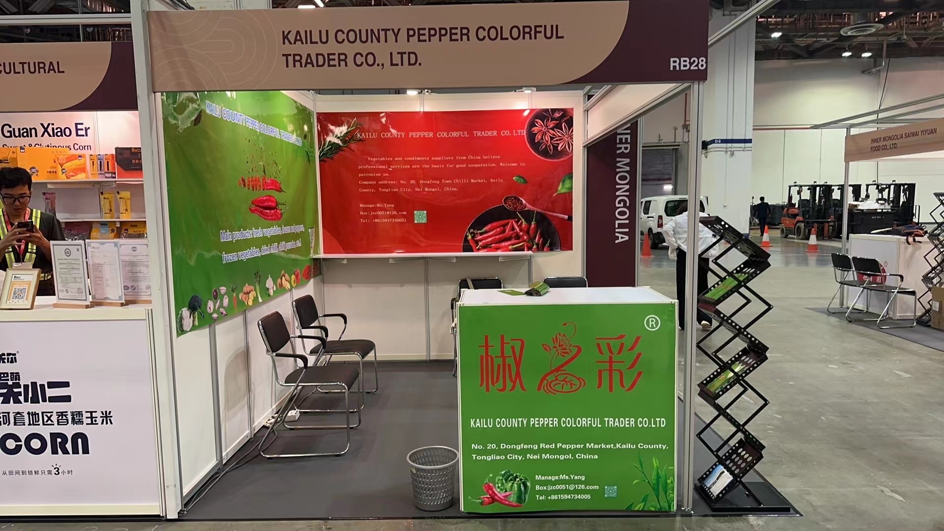 企业风采之新加坡展